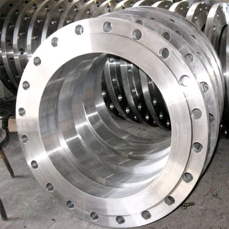 Duplex Steel 2205 Pipe Flanges