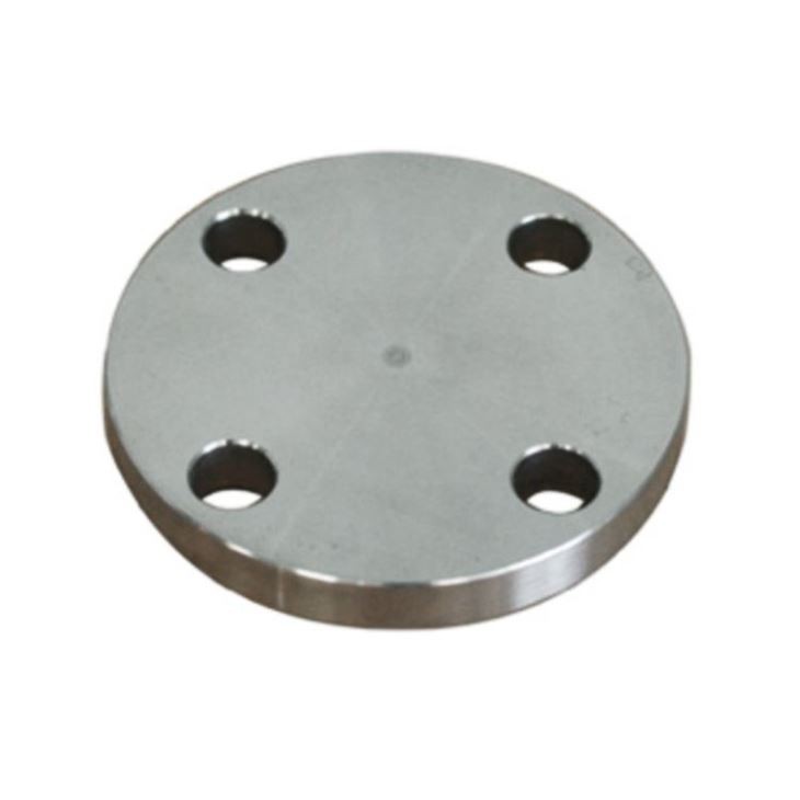 Stainless Steel 316 Floor Flange