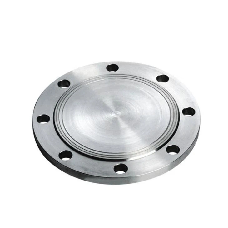 Stainless Steel 316 Floor Flange