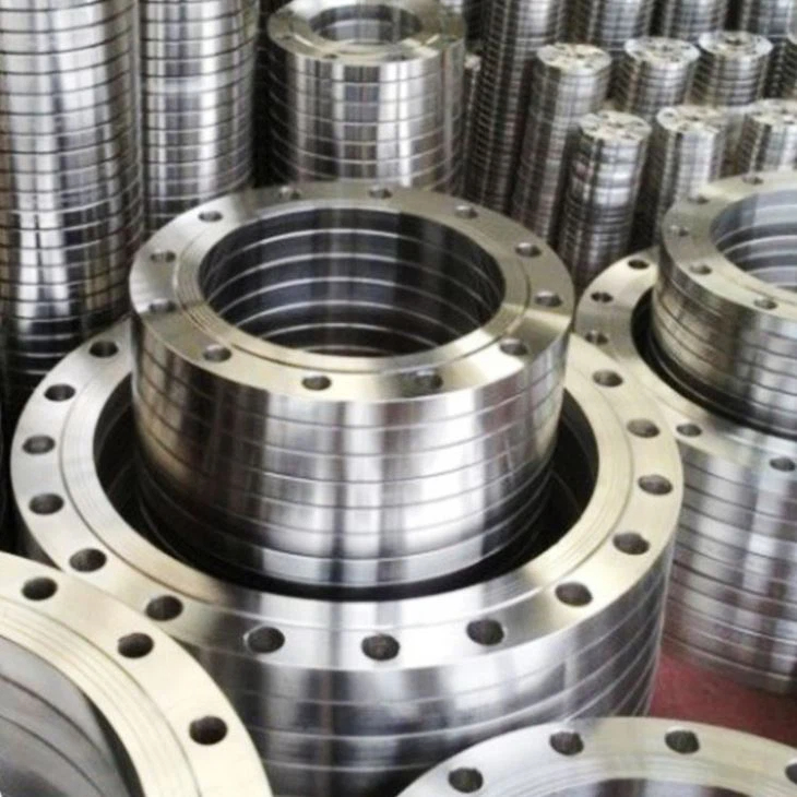 Stainless Steel 316 Floor Flange