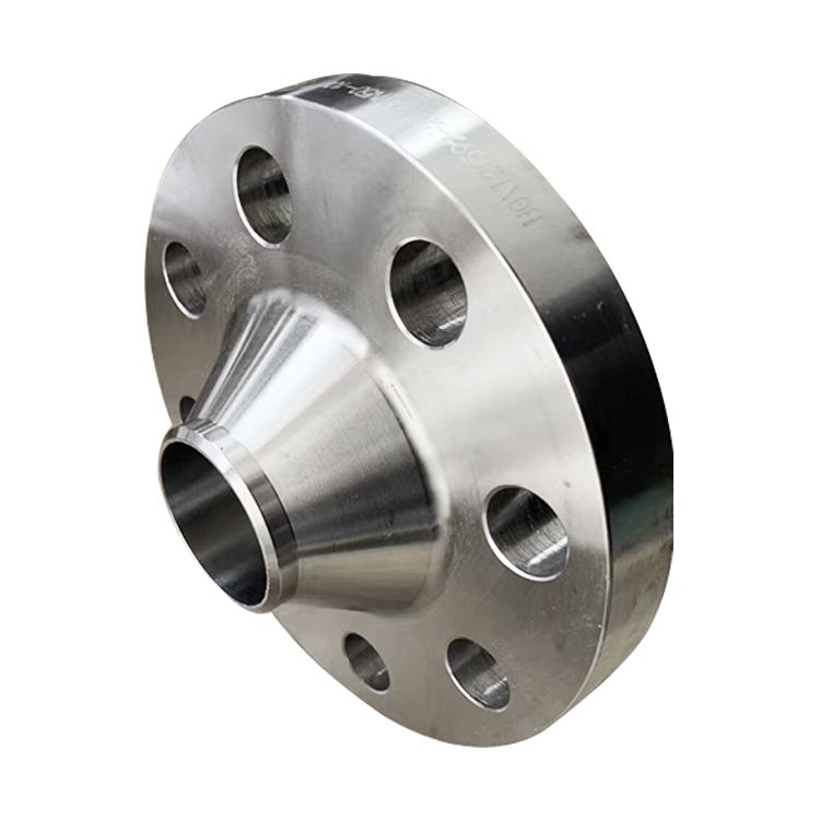 Stainless Steel Forged Flanges (2)