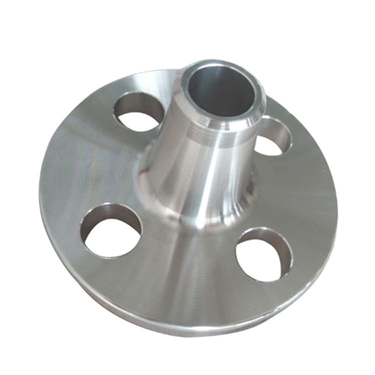 Duplex Steel 2205 Pipe Flanges (1)